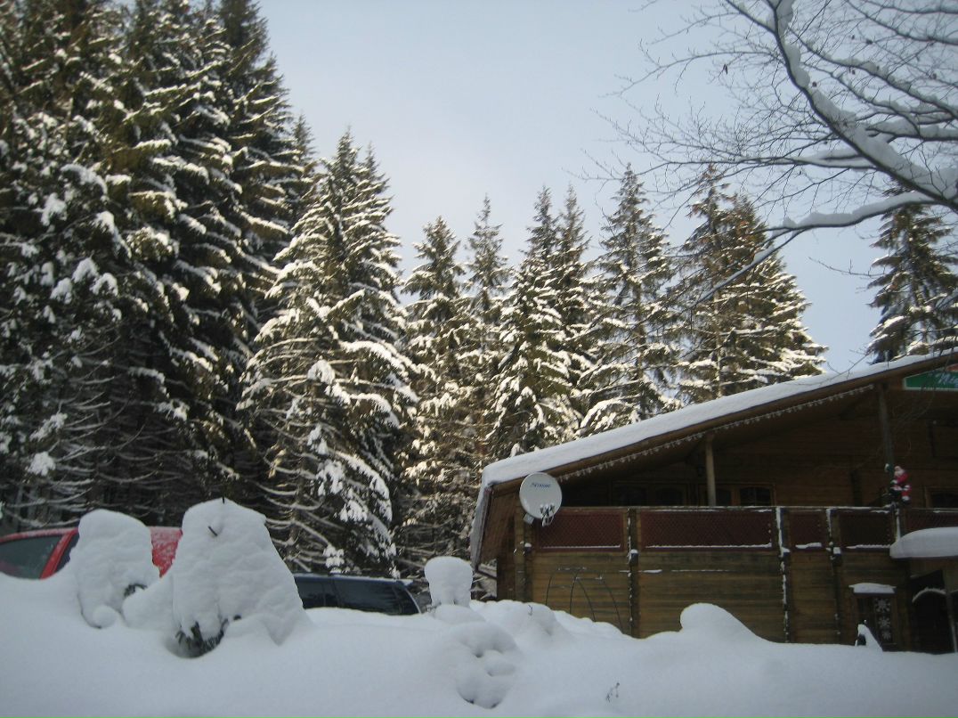 Віктор Русин viktorovuch | Берегово