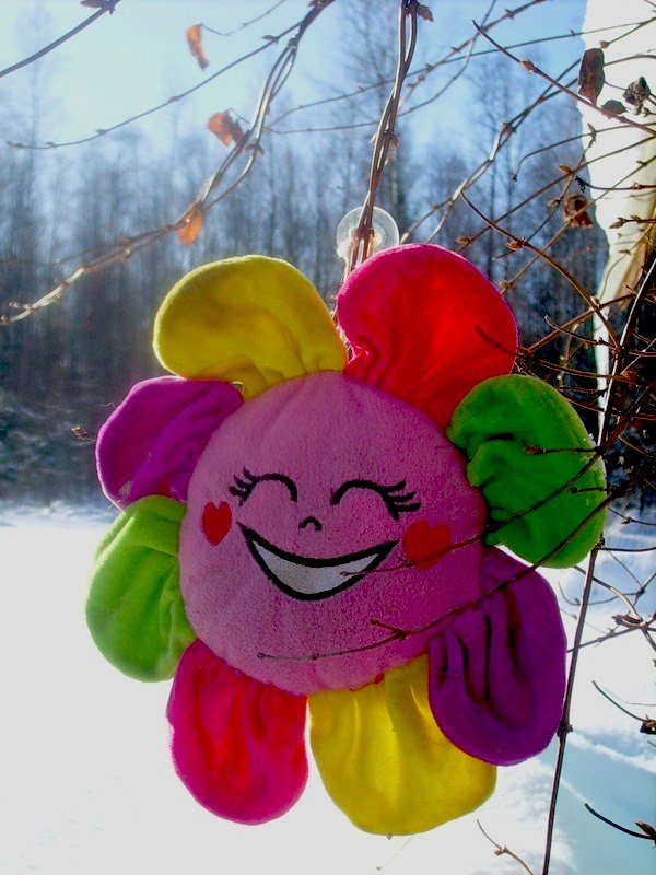 Татьяна Славутина | Донецк