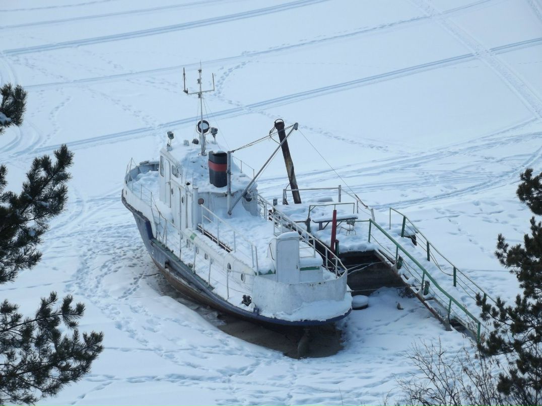 Дмитрий Некрашевич | Новосибирск