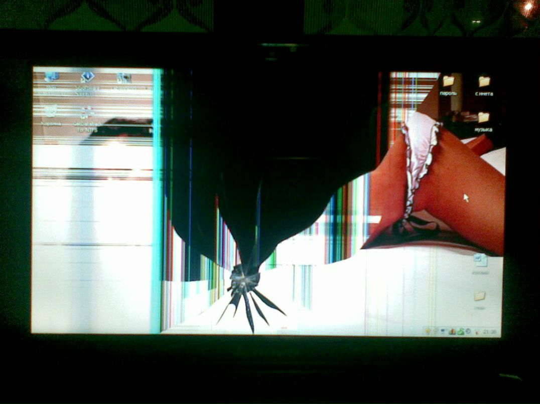 Андрей Коломинов G@ndikap | Киров