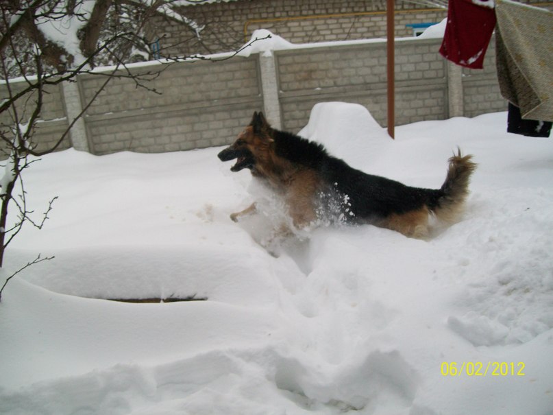 Игорь Бобёр | 