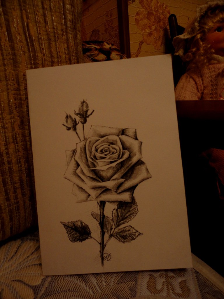 Юлия Щелованова | Павловский Посад