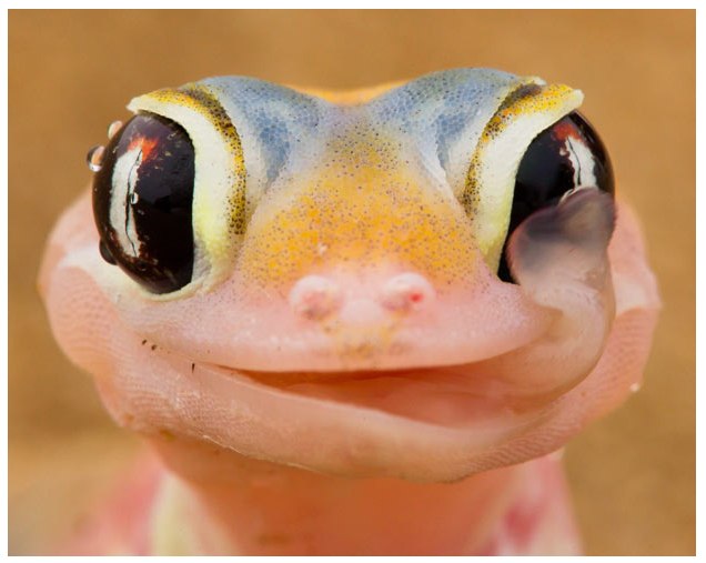 Ваня Салов | 