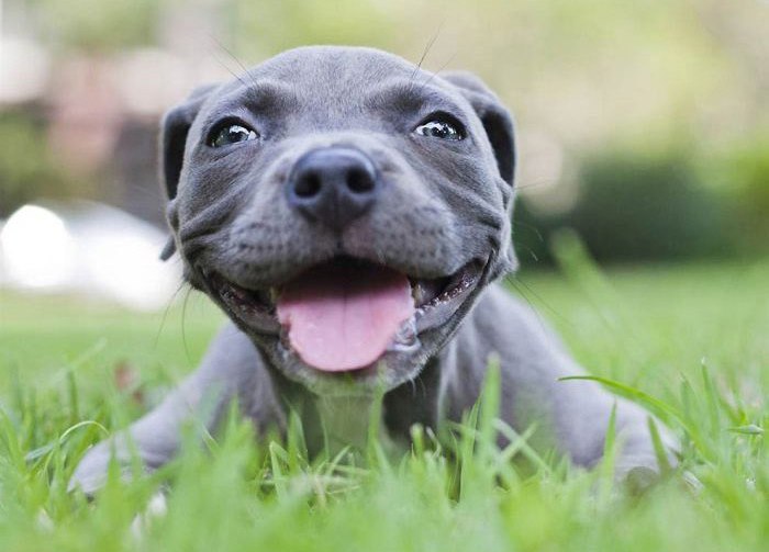 Ирина Догузова | Нижний Новгород