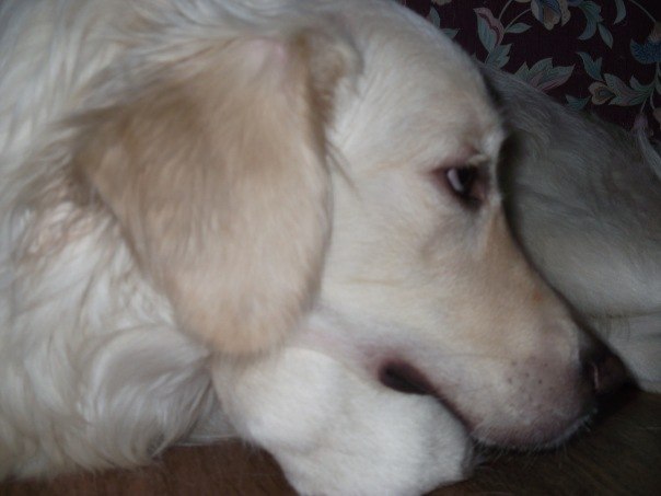 Бакаянова Мария | Санкт-Петербург