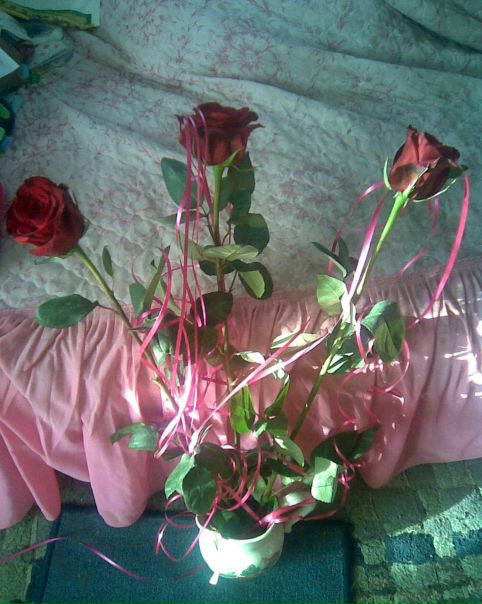 №77, Маша Фальковська №77, Маша Фальковська