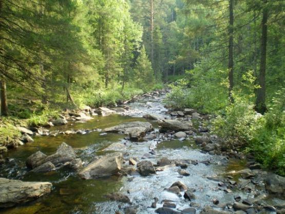 Real Angel ♥ | Москва