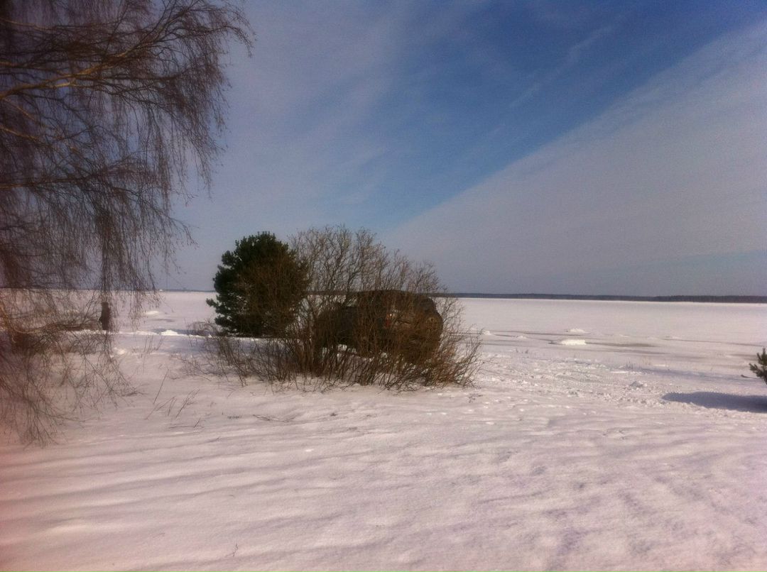 Алексей Резников | Санкт-Петербург