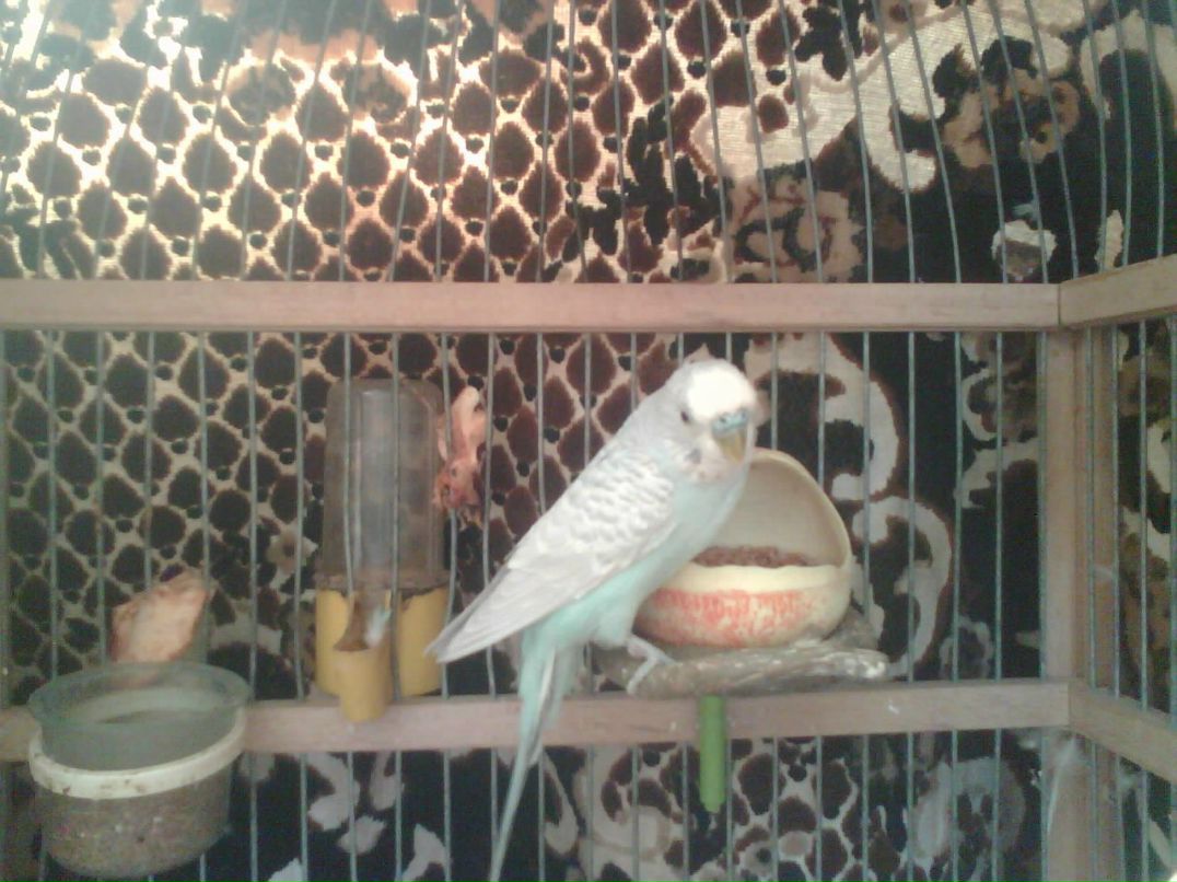 Виктория Савельева | 