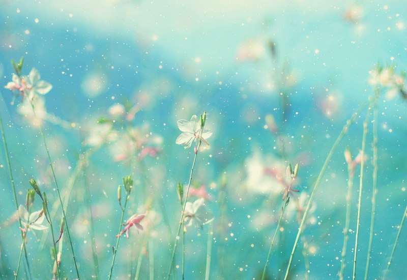 Просто Надя | 