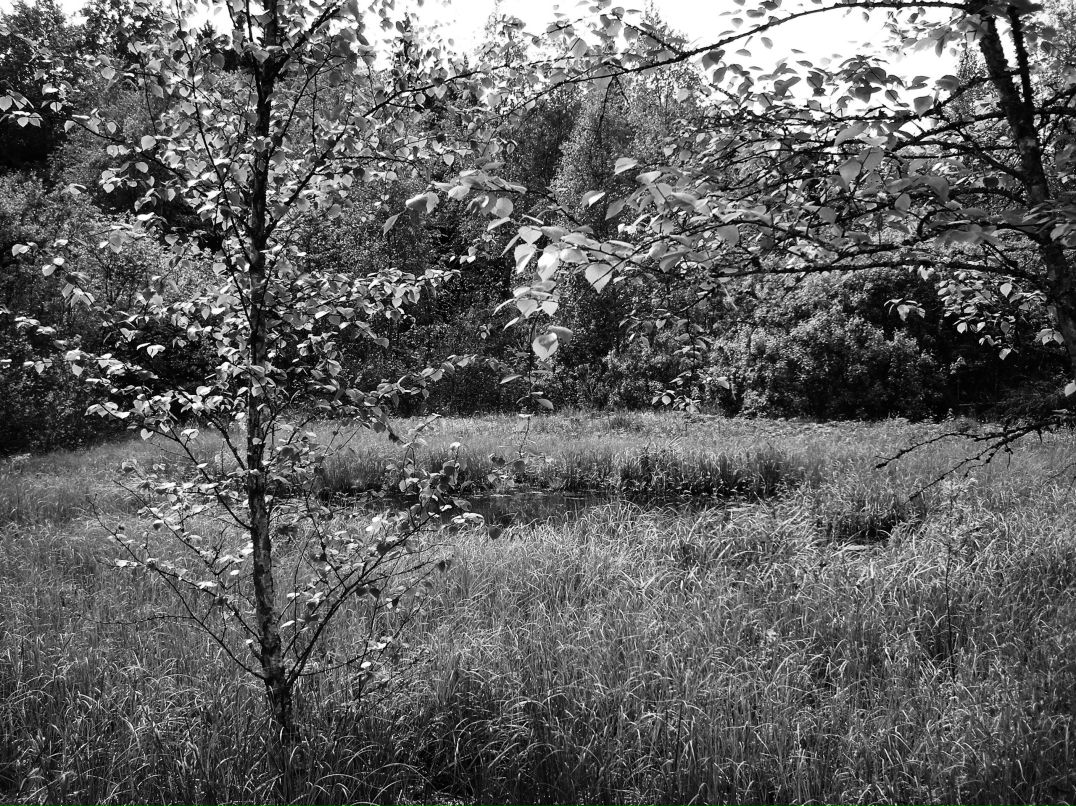 Марина Царёва | Москва