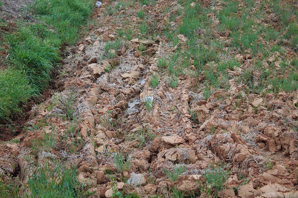 №61, Алексей Чернеевский, Санкт-Петербург №61, Алексей Чернеевский, Санкт-Петербург