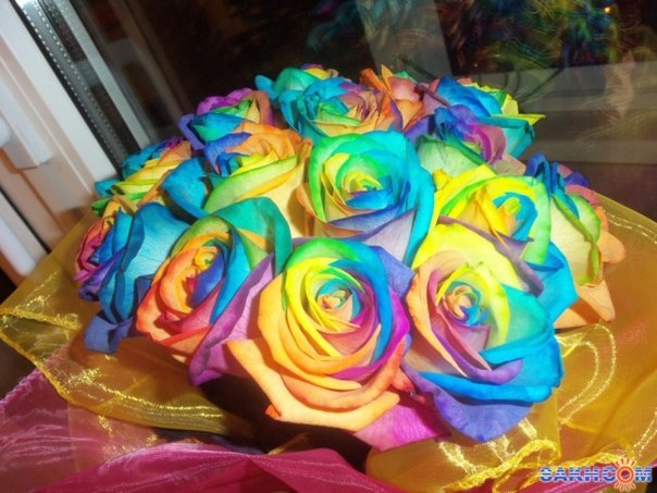 Елена Евсеева | Брянск