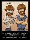 Фотография Роман Кабанов