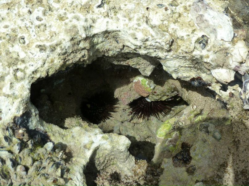 Ольга Якимец | Кстово