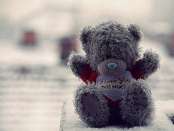 Алина Бирюкова | Энергодар