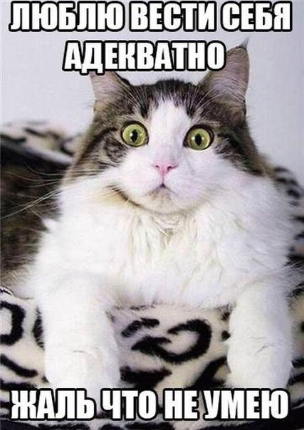 Ninel Pm, Россия, Таганрог