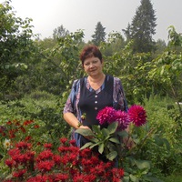 Вера Зайцева