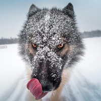 Вадим Сотников
