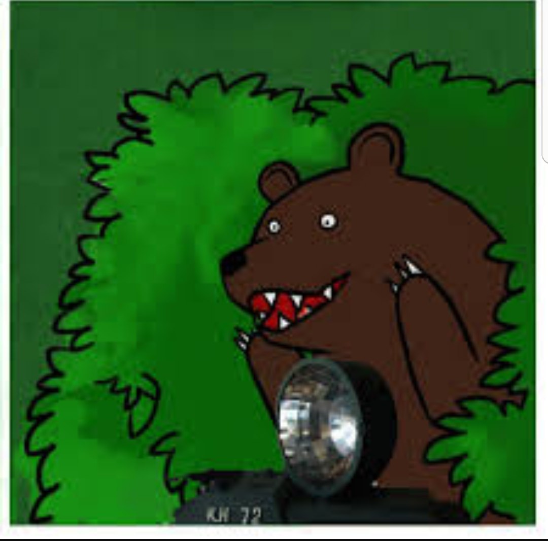 из кустов выскочили две. медведь из кустов. из кустов выскочили две. из кустов выскочили две. медведь мем.