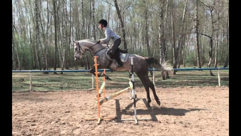horse jumping training (Софья,