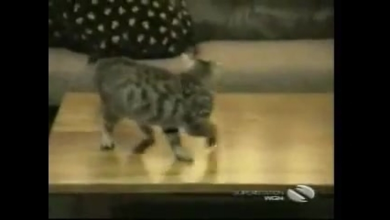 Смотреть всем