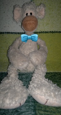 Сергей Козлов