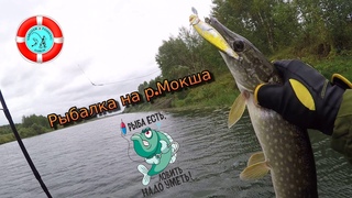 Походу ЖОР начался!  (р. Мокша Мордовия)
