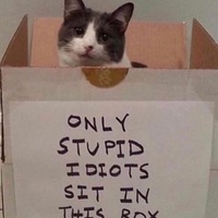 Ирина Петрова