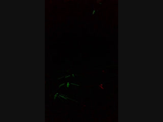 Катя Смирнова - Live