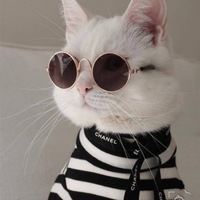 Александр Морозов