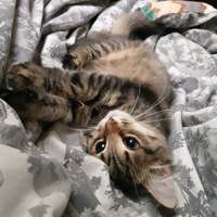 Евгений Глущенко