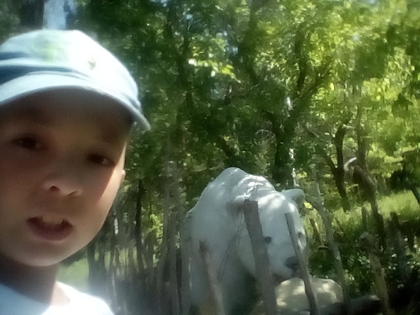 Данияр Ишмуратов, Россия, Баймак