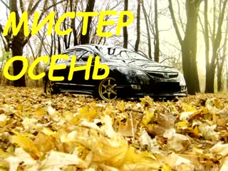 Бейдж жюри золотая осень. Описание мистера осень. Описание мистера осень. Мистер и миссис осень. Конкурс мисс и мистер осень.