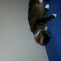 Иван Кудрявцев