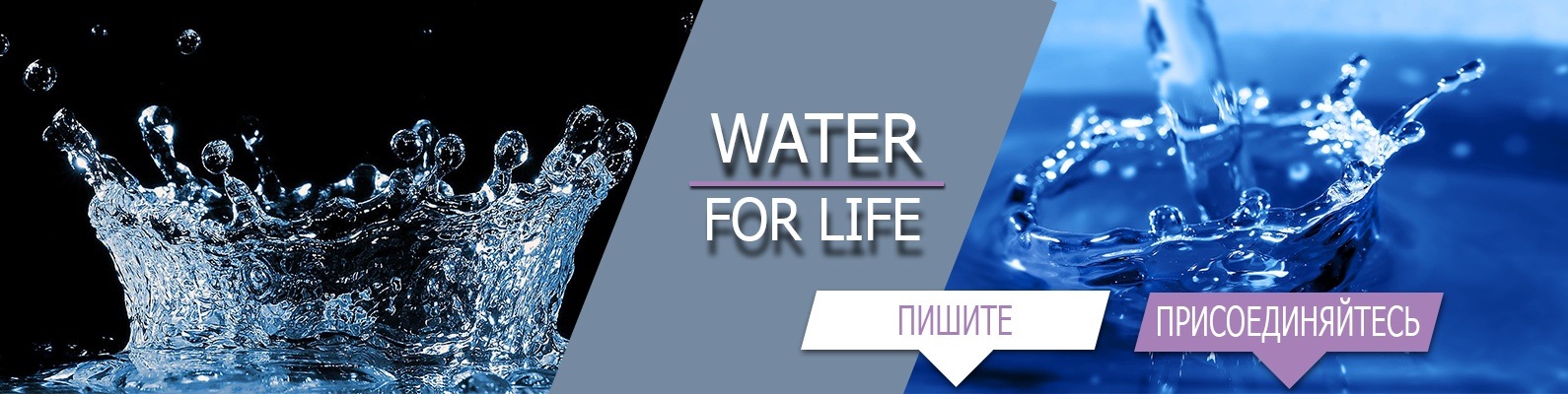 Вода Лайф Интернет Магазин Официальный Сайт