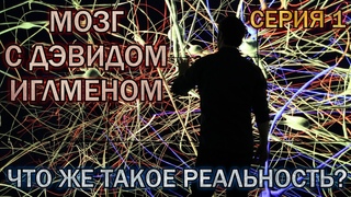 Мозг с Дэвидом Иглменом / The Brain with David Eagleman (2015) [Серия 1. Что же такое реальность?]