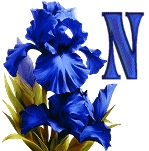 синий ирис алфавит, image #14