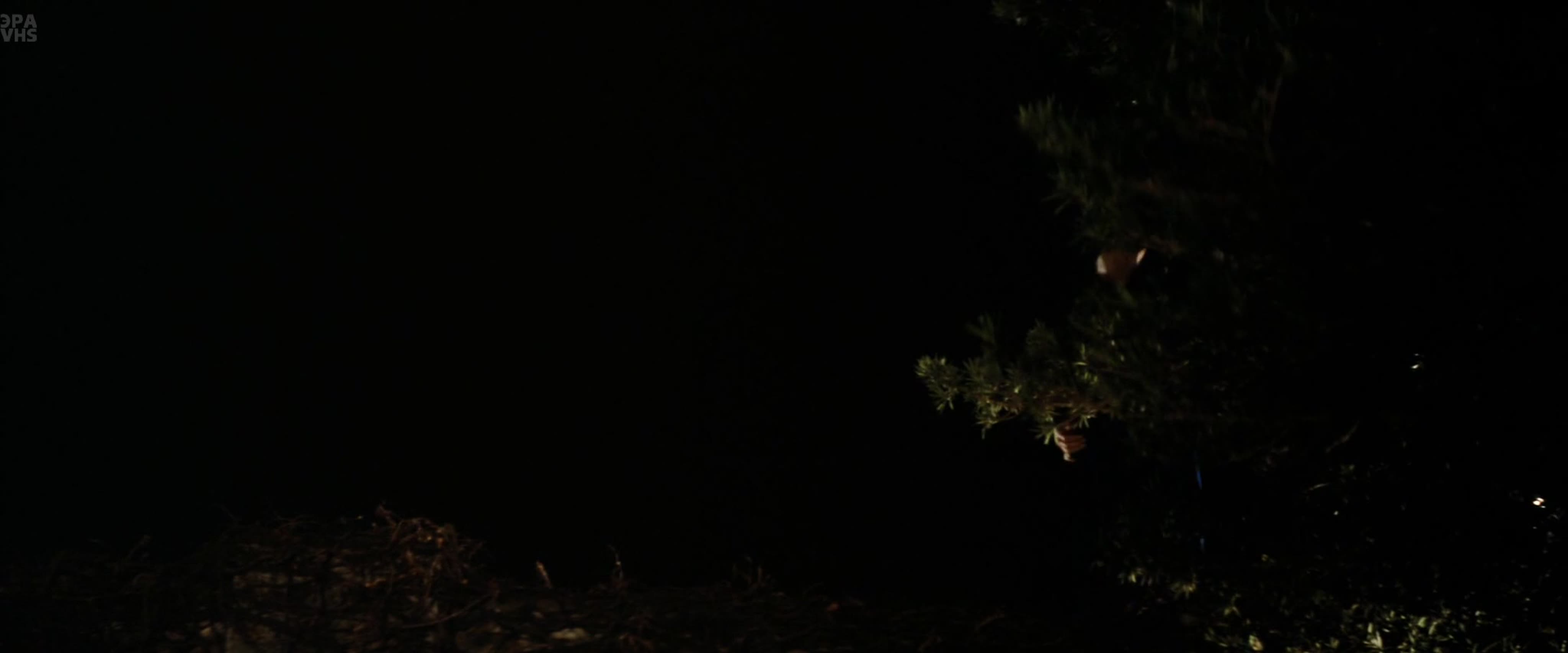 Выход Дракона / Enter the Dragon [Remastered]. 1973. 1080p. DVO НТВ+. VHS