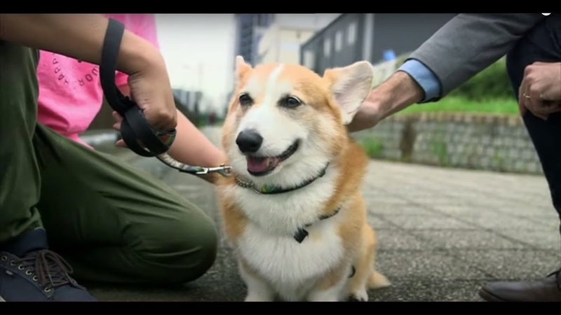 Click 857 : Japan 2016, , BBC