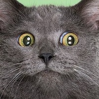 Александр Будников | Улан-Удэ