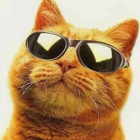 Миша Соколов