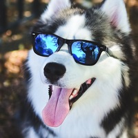 Ирина Камилова | 