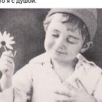 Вован Питерский | 