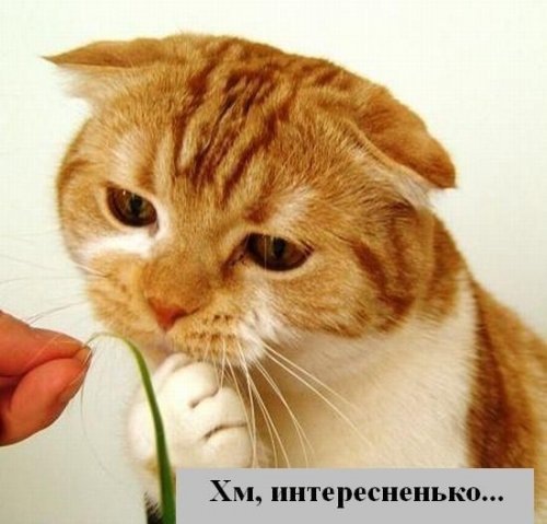 №19, Ранэль Гимадеев, Казань, Россия №19, Ранэль Гимадеев, Казань, Россия