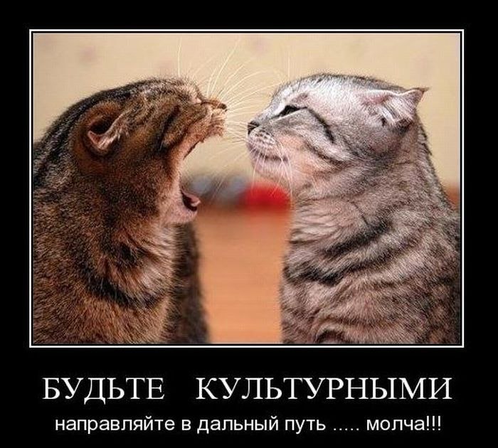 Roman Khamula | Южно-Сахалинск