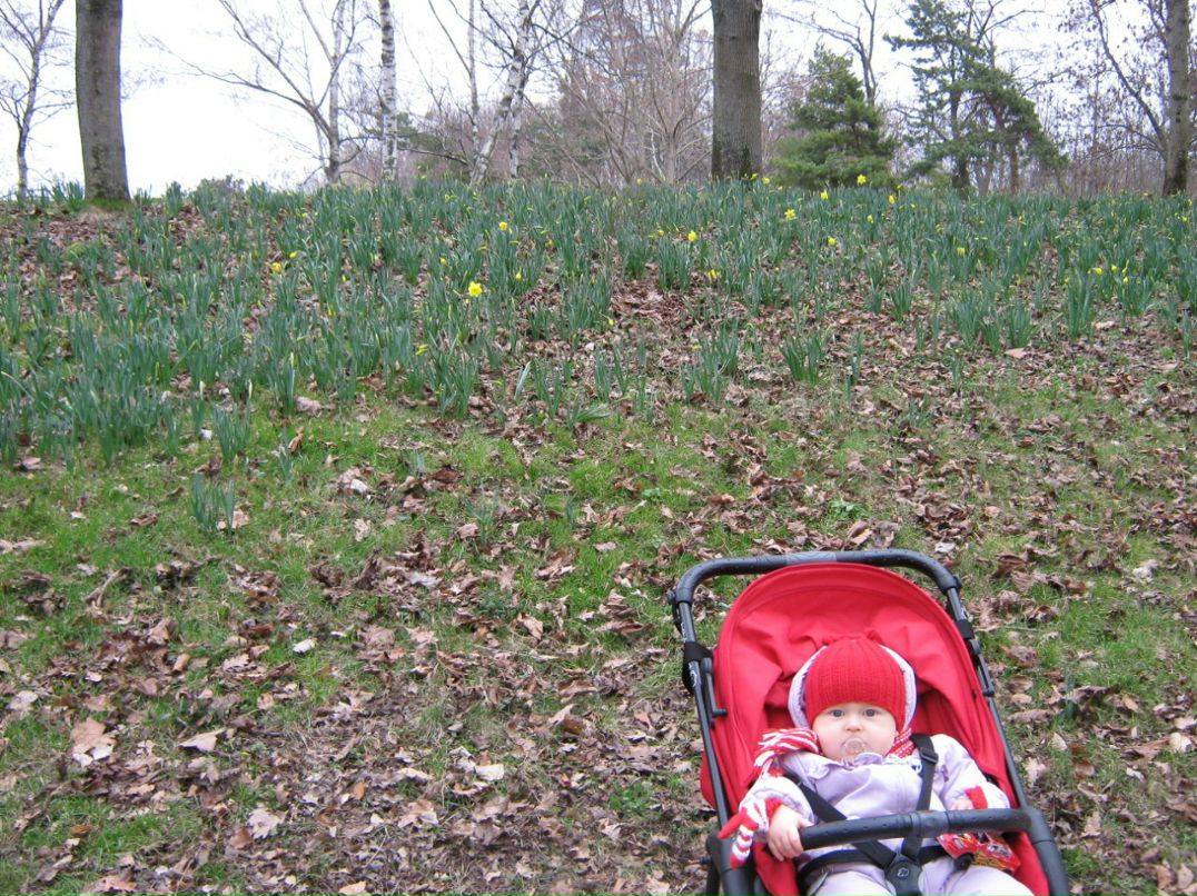 Татьяна Фешакова | Петрозаводск