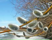 №30 Оксана Васильева : профиль, фото, статус - ВКонтакте