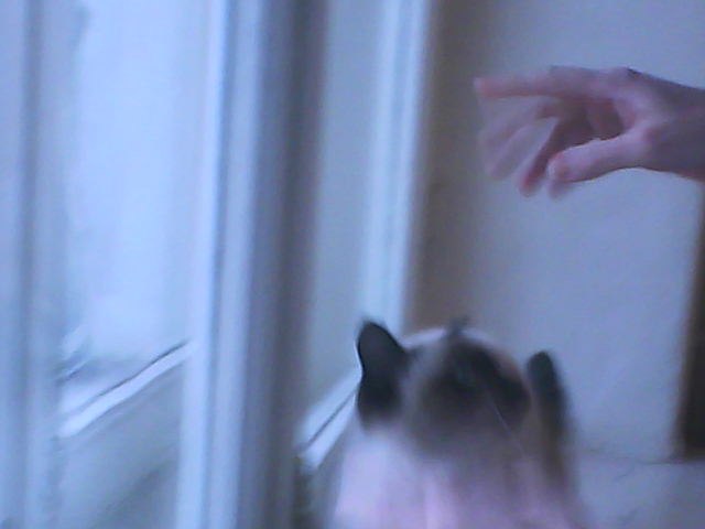 Мария Ткачёва | Казань