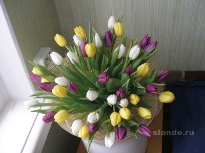 Татьяна Бережная | Лисичанск